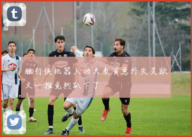 独行侠机器人功夫表演意外失灵欧文一推竟然趴下了